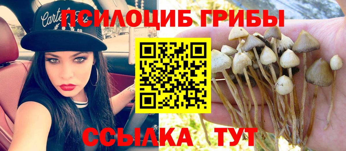 купить наркотик  Галлюциногенные грибы GOLDEN TEACHER  Галлюциногенные грибы Cubensis  Вход с VPN  Находка 